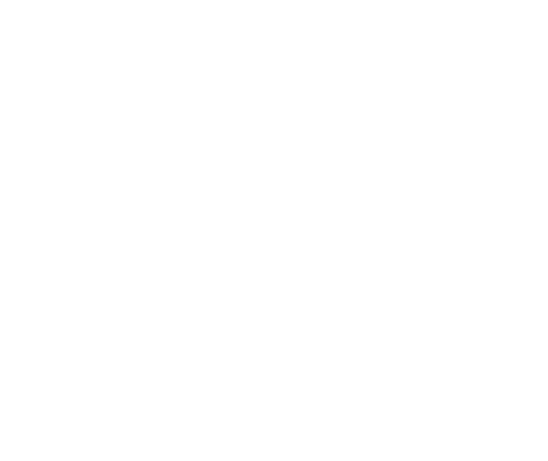 Truest Capital Strategies